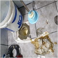 강북구하수구 PC 갤러리 5