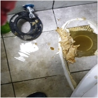 강북구하수구 PC 갤러리 4