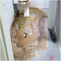 강북구하수구 PC 갤러리 1